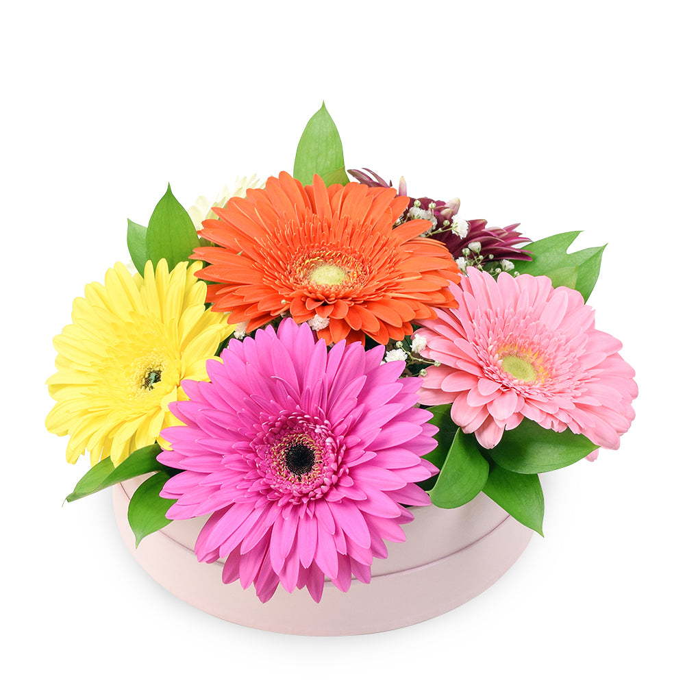 Floral Daisy Hat box arrangement in bright colours. Same Day Toronto Delivery.