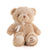 Brown Best Friend Baby Plush Bear