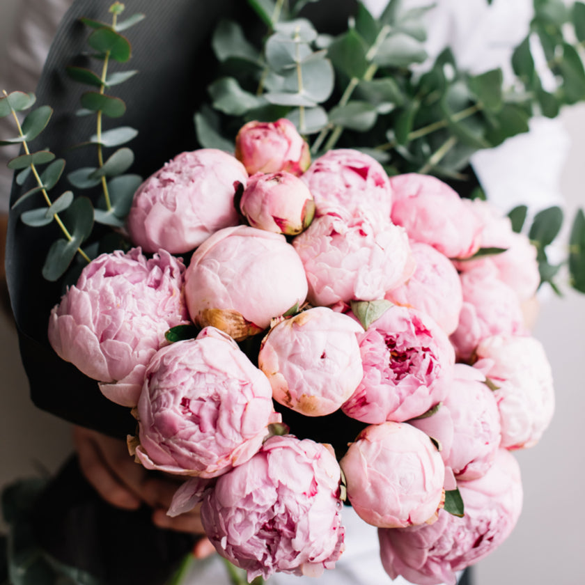 Toronto Same Day Flower Delivery - Toronto Flower Gifts 